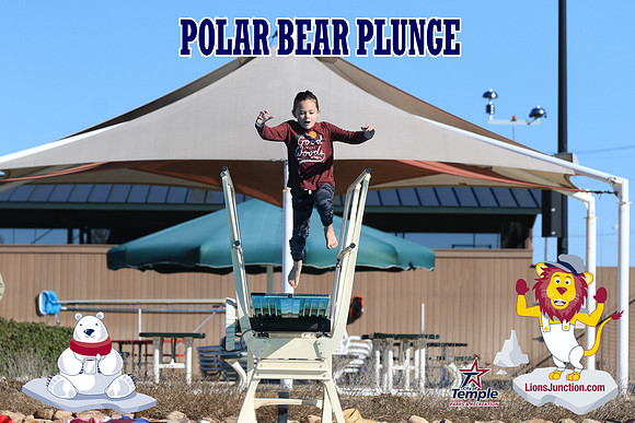 20190105PolarBearA-4128