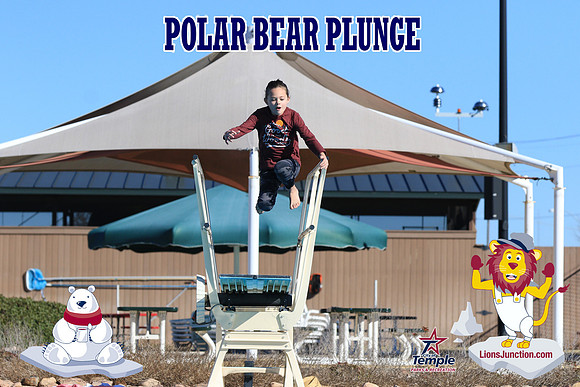 20190105PolarBearA-4129