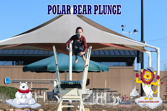 20190105PolarBearA-4130