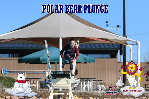 20190105PolarBearA-4132