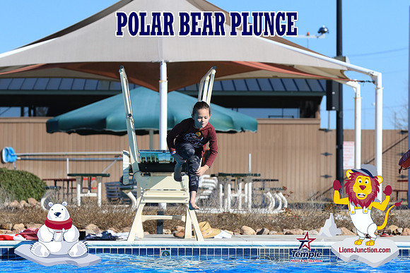 20190105PolarBearA-4133