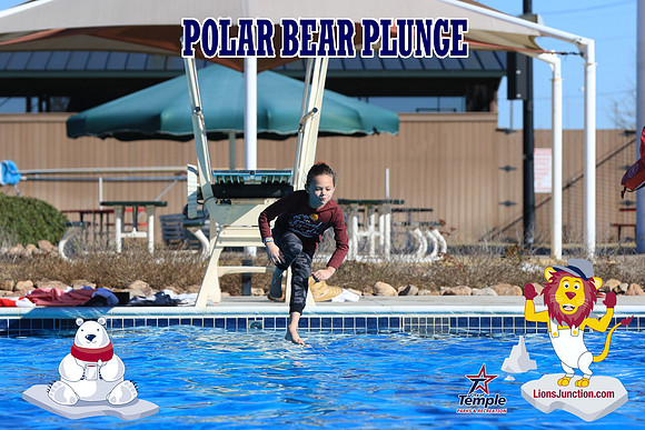 20190105PolarBearA-4134