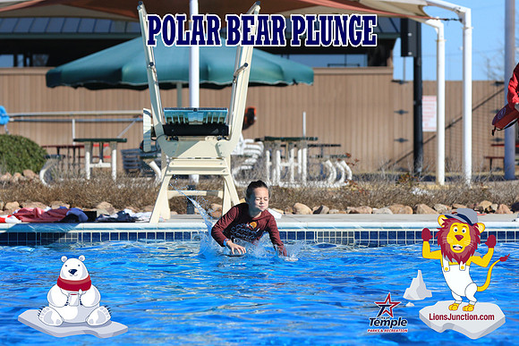 20190105PolarBearA-4135