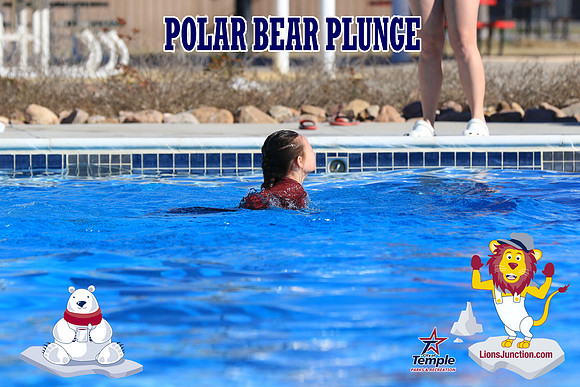 20190105PolarBearA-4137