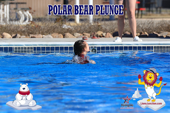 20190105PolarBearA-4138
