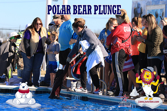 20190105PolarBearA-4140