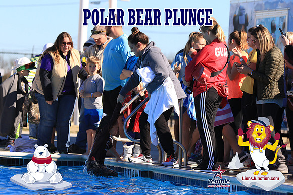 20190105PolarBearA-4141