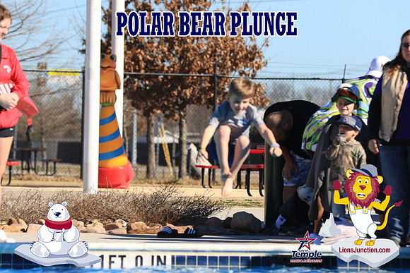 20190105PolarBearA-4145
