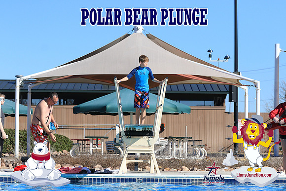 20190105PolarBearA-4150