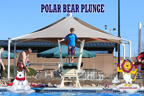 20190105PolarBearA-4151