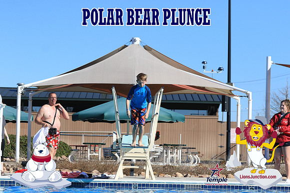 20190105PolarBearA-4153