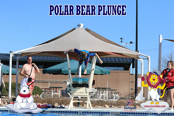 20190105PolarBearA-4155