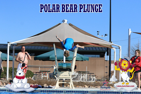 20190105PolarBearA-4156