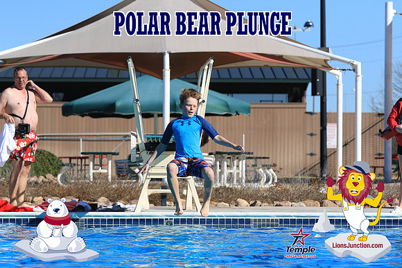 20190105PolarBearA-4158