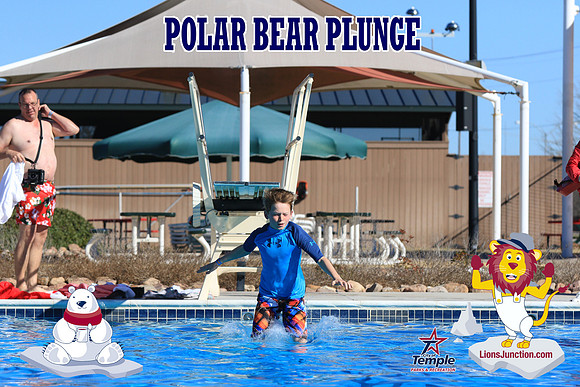 20190105PolarBearA-4159