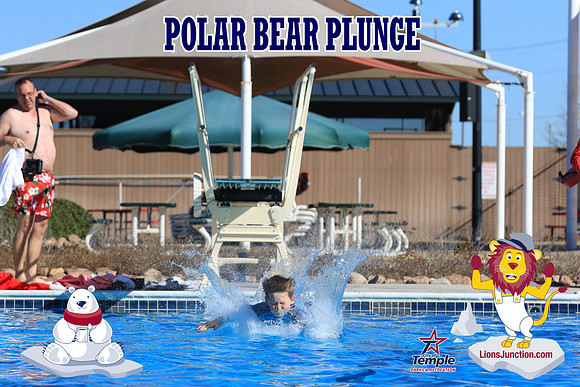 20190105PolarBearA-4160