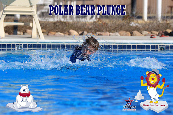 20190105PolarBearA-4162