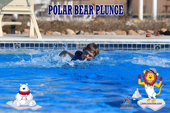 20190105PolarBearA-4163