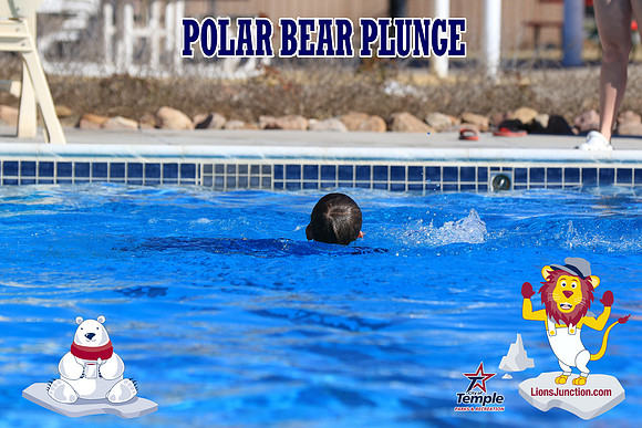 20190105PolarBearA-4164