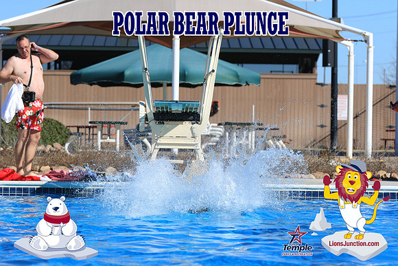 20190105PolarBearA-4161