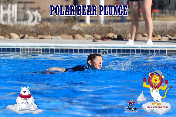 20190105PolarBearA-4166