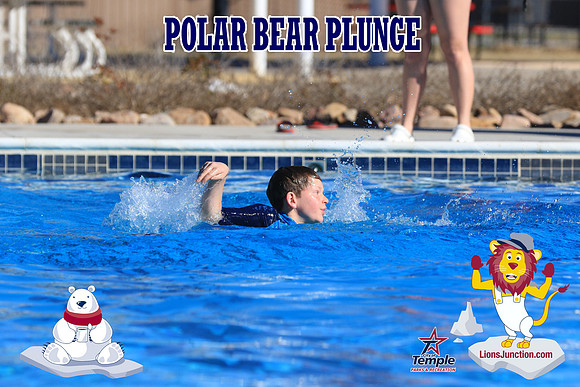 20190105PolarBearA-4167