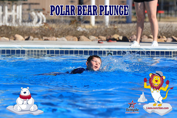20190105PolarBearA-4165