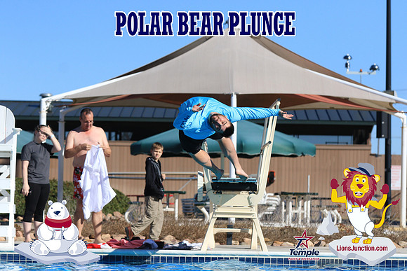 20190105PolarBearA-4174