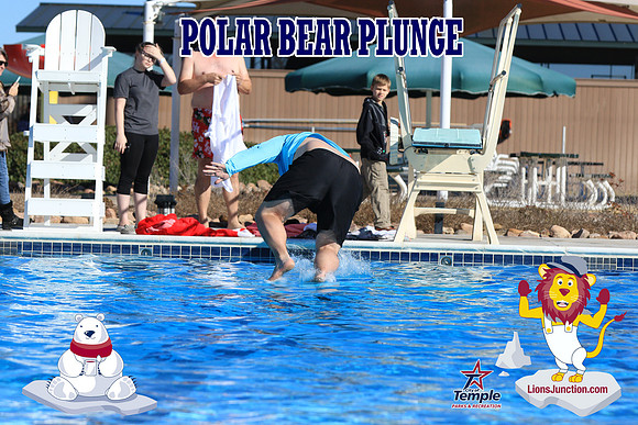 20190105PolarBearA-4179