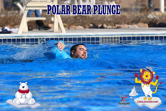 20190105PolarBearA-4184