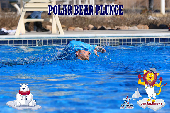 20190105PolarBearA-4185