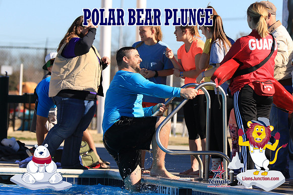 20190105PolarBearA-4187