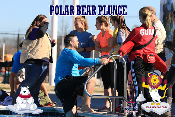 20190105PolarBearA-4188