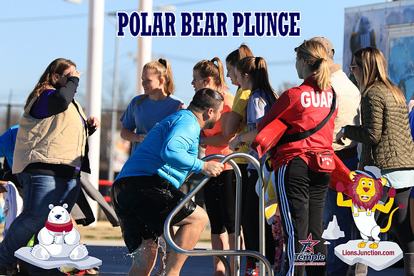 20190105PolarBearA-4190