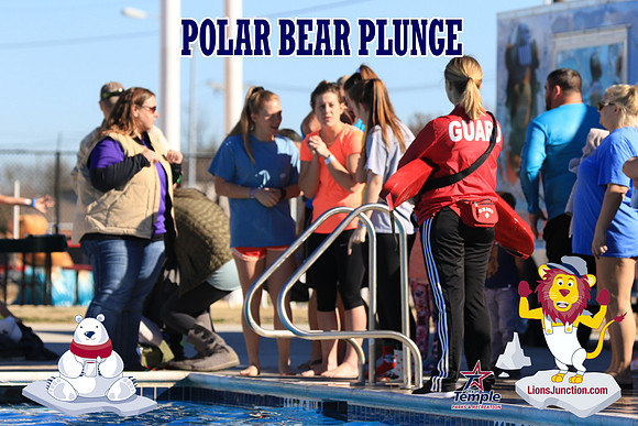 20190105PolarBearA-4192