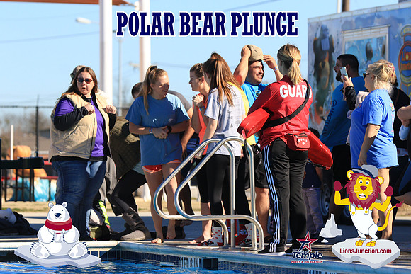 20190105PolarBearA-4193
