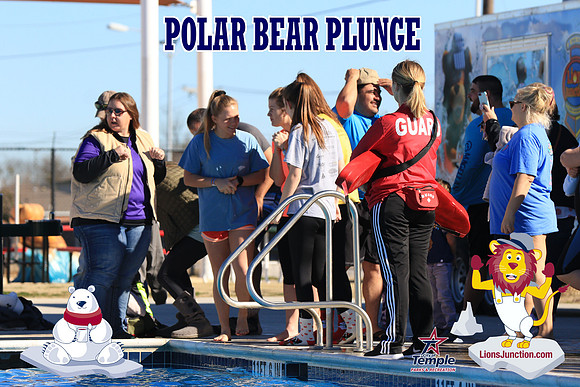 20190105PolarBearA-4194