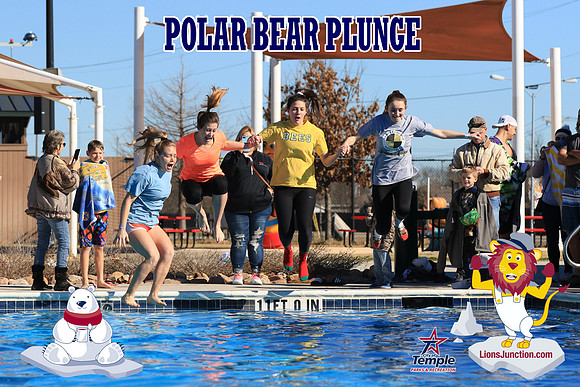 20190105PolarBearA-4204