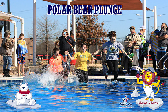 20190105PolarBearA-4207