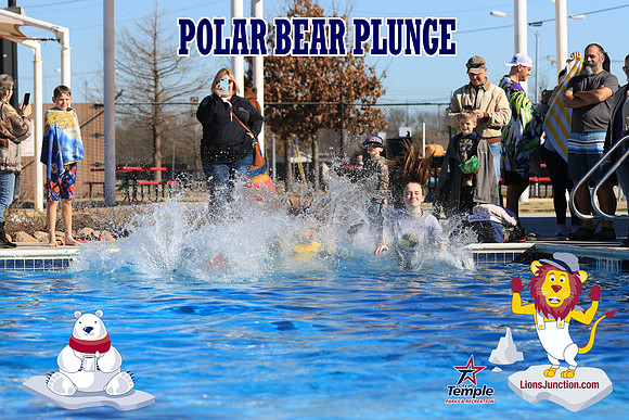 20190105PolarBearA-4209