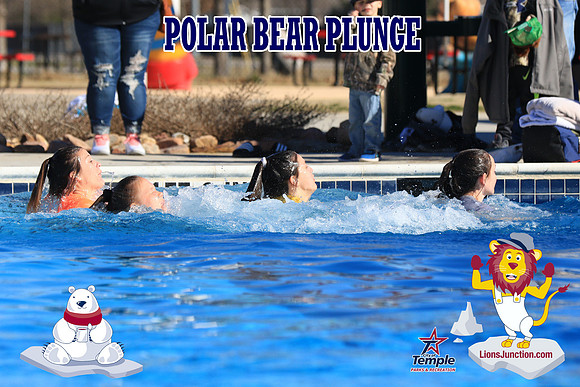 20190105PolarBearA-4210