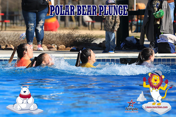 20190105PolarBearA-4211