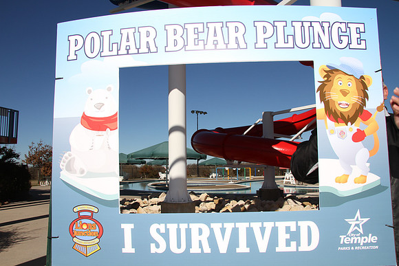 20190105PolarBearC-6546