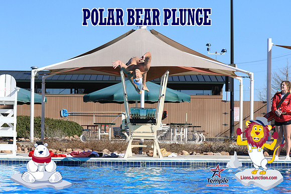20190105PolarBearA-4065