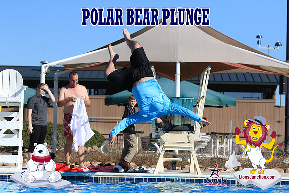 20190105PolarBearA-4176