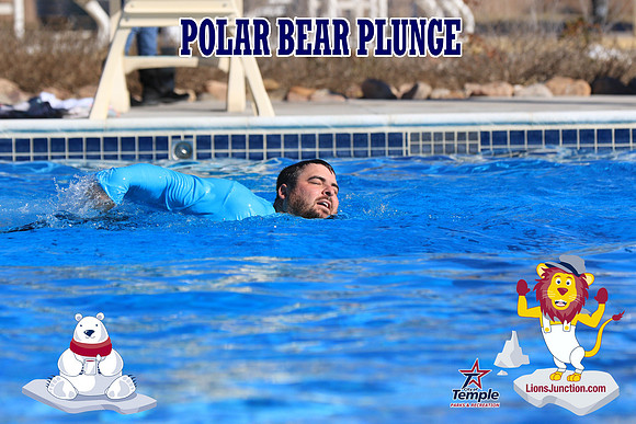 20190105PolarBearA-4183