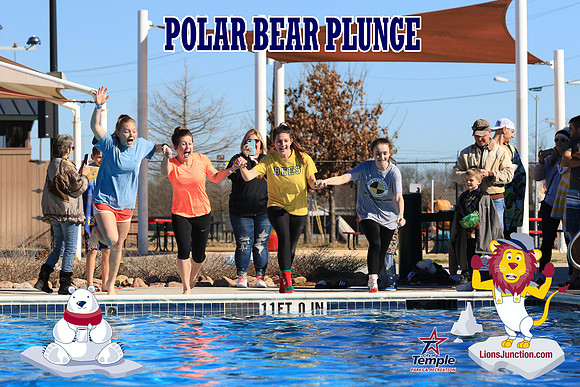 20190105PolarBearA-4200