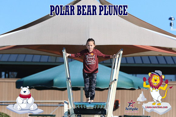 20190105PolarBearA-4123