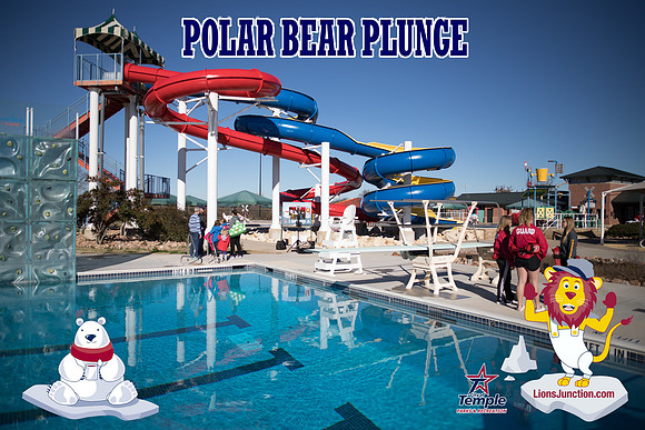 20190105PolarBearB-1683