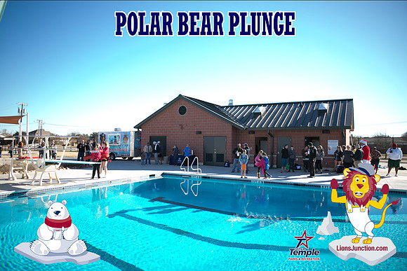 20190105PolarBearB-1716